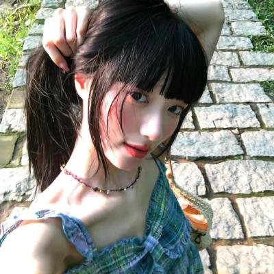 蜘蛛与郁金香